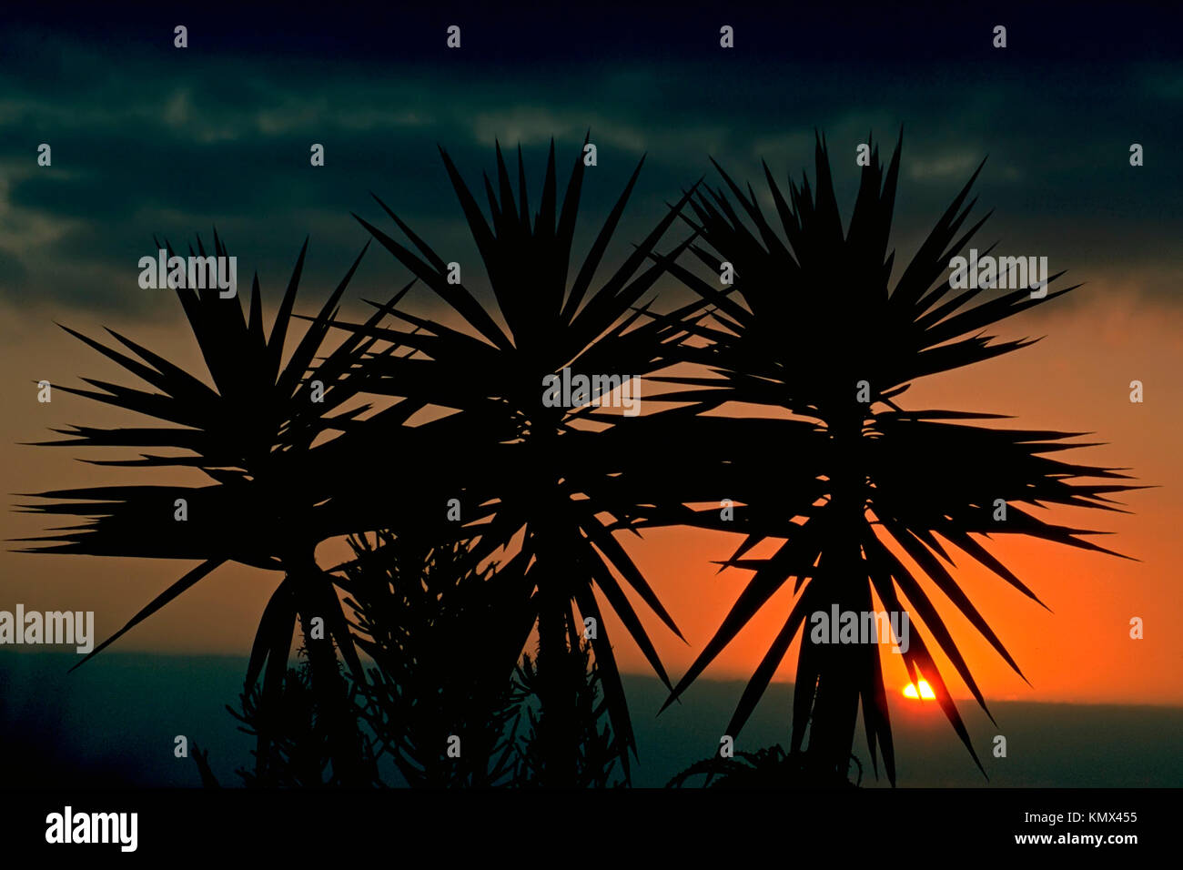 Sonnenuntergang, Mombasa, Kenia Stockfoto