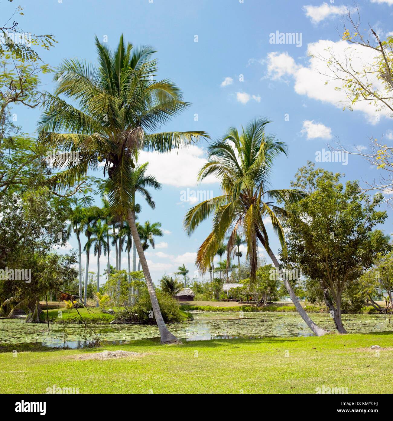 View Guama Matanzas Cuba Pics