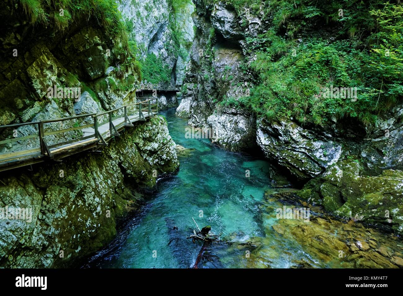 Atemberaubende Aussicht über bunte Radovna Fluss in der Schlucht Vintgar, Slowenien Stockfoto