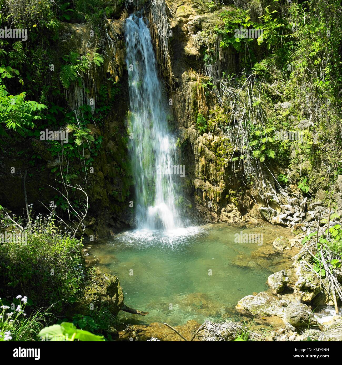 My Image 13