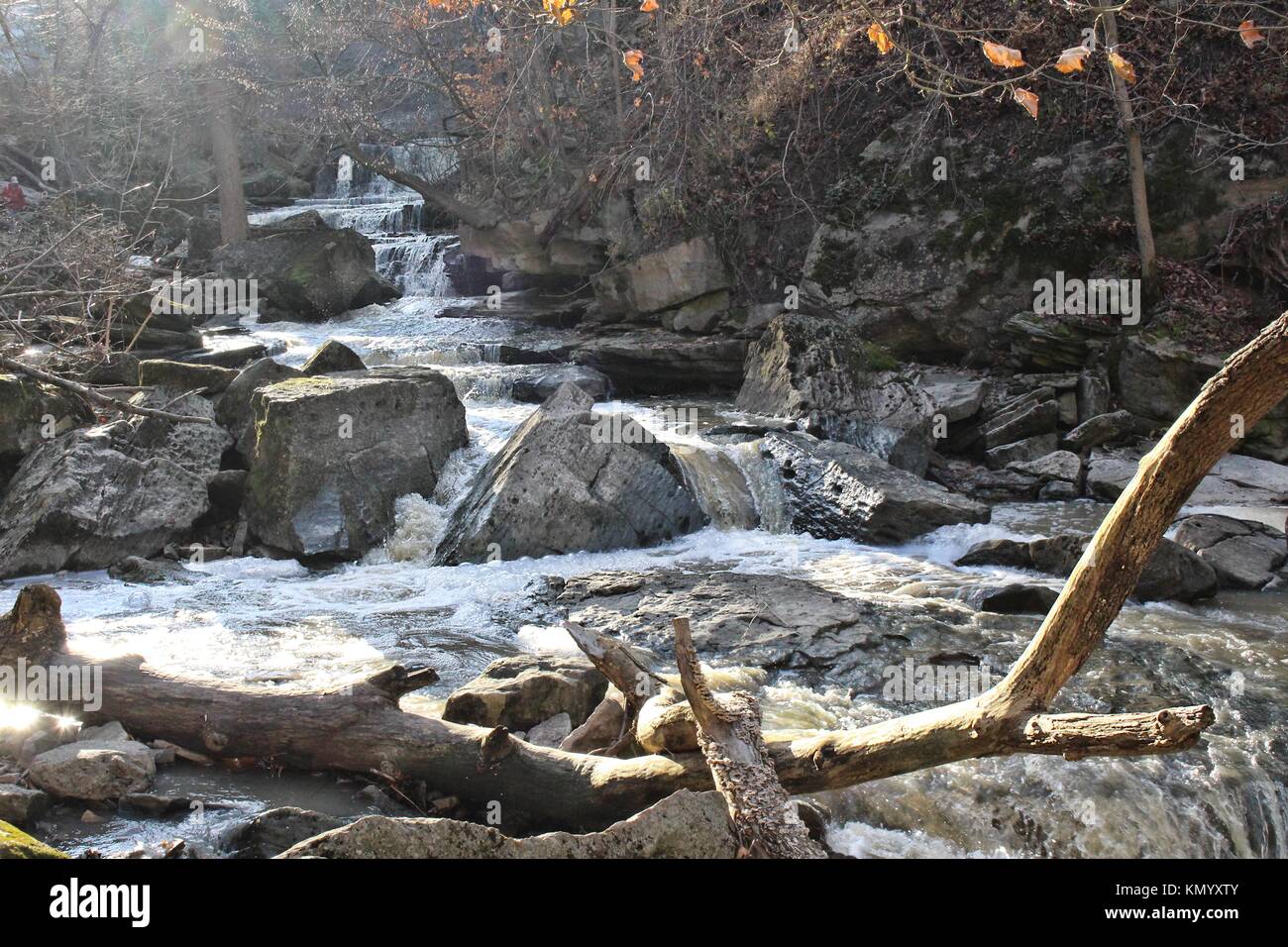 Kleiner Wasserfall an Rockway Conservation Area, Ontario, Kanada. Stockfoto