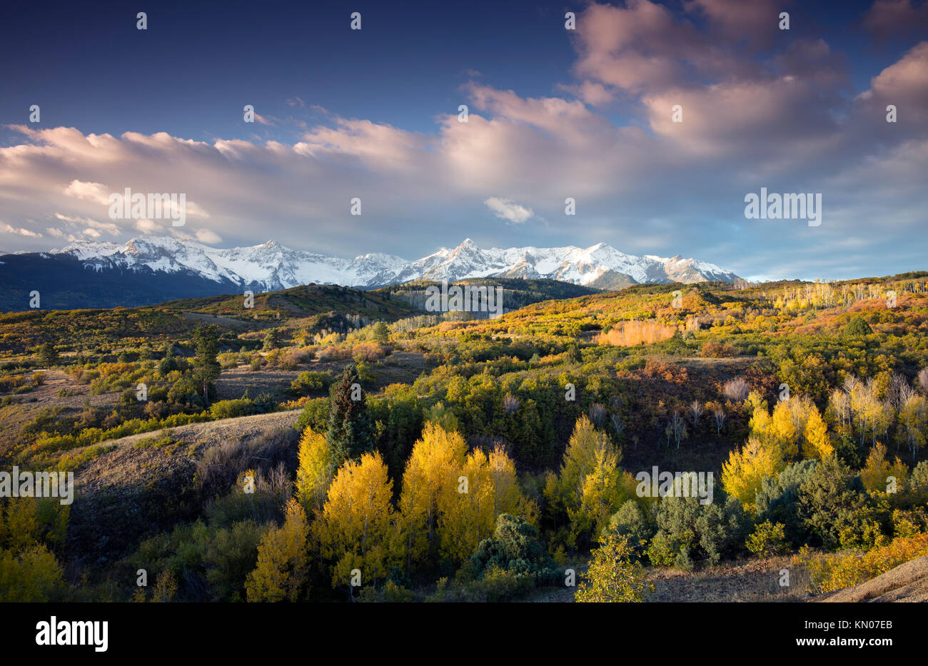Blauer Himmel über San Juan Berge und Herbst Farbe des Dallas Divide Ridgway, Colorado, Amerika Stockfoto