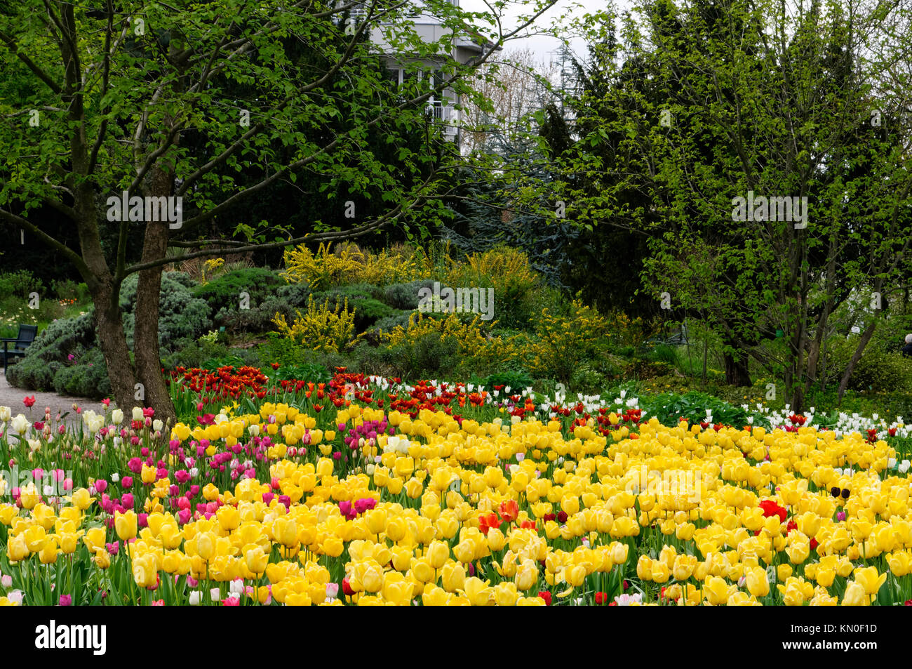 Hermannshof weinheim Fotos und Bildmaterial in hoher Auflösung Alamy