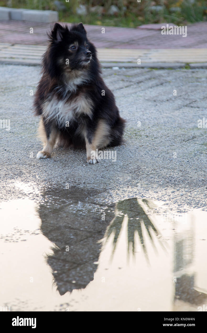 Das Sitzen auf dem Boden und starre auf der linken Seite Stockfoto