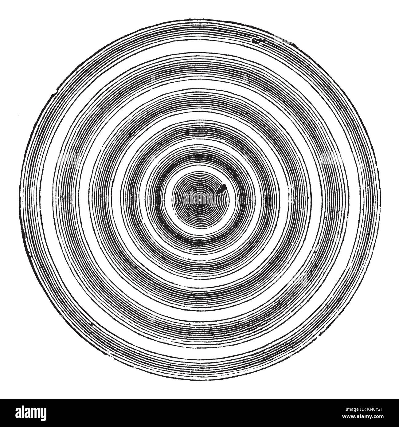 Newton ring Ausgeschnittene Stockfotos und -bilder - Alamy