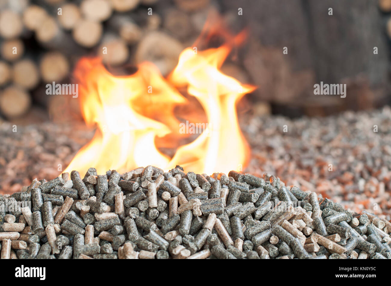 Andere Art Holz- pellets im Feuer - Erneuerbare Energien Stockfoto