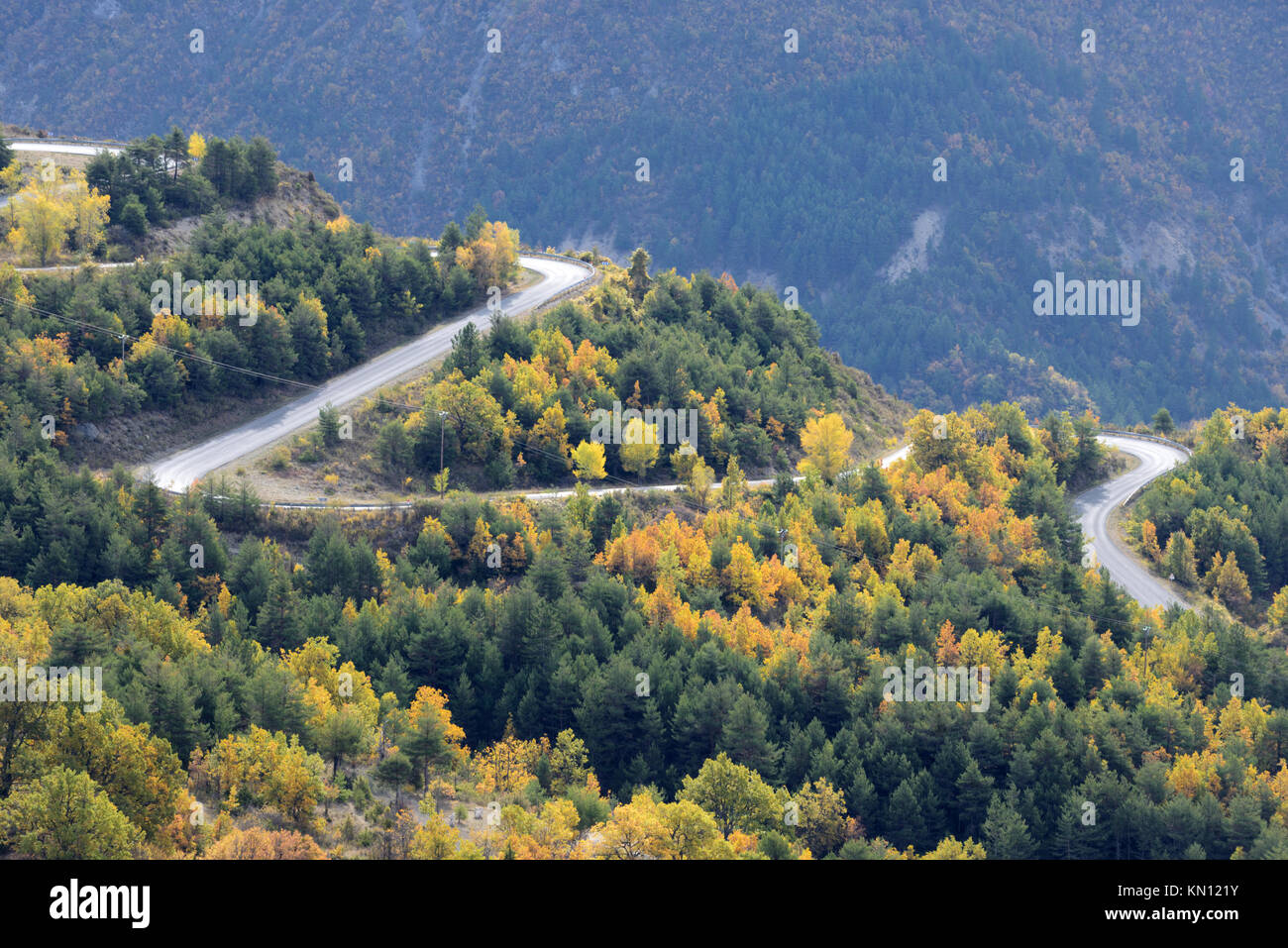Luftaufnahme von gewundenen Bergstraße im Zickzack durch Wald führende zu Demandolx, in der Nähe von Castellane, Regionalparks Verdon, Provence Stockfoto