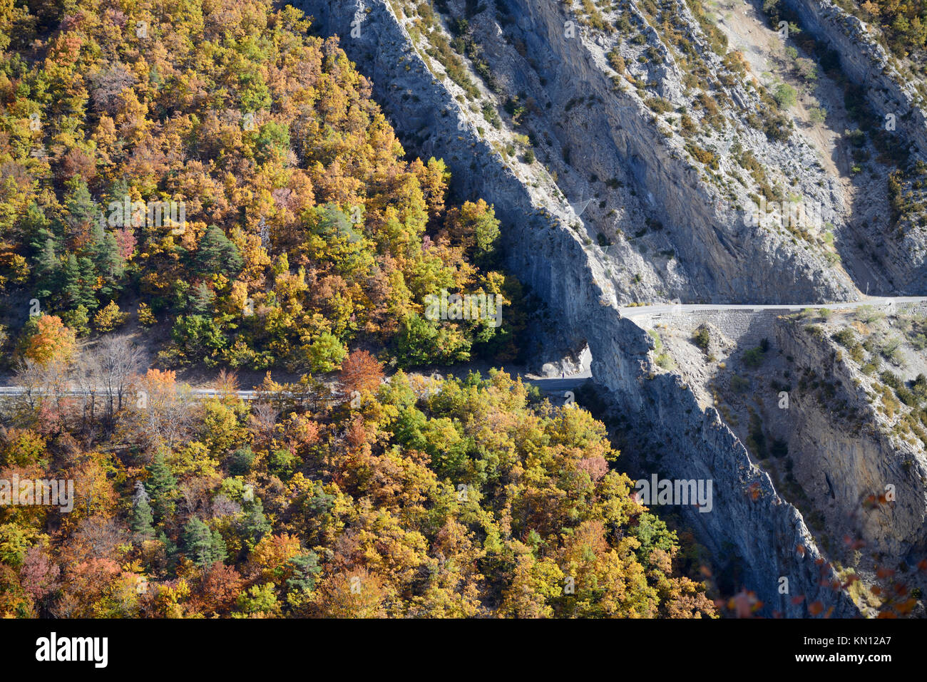 Der Anhaltspunkt de la Roche Percée, Castillon Schlucht, mit Herbst Wald und freigelegten Gesteinsschichten, Verdon Regional Park, in der Nähe von Castellane, Provence Stockfoto