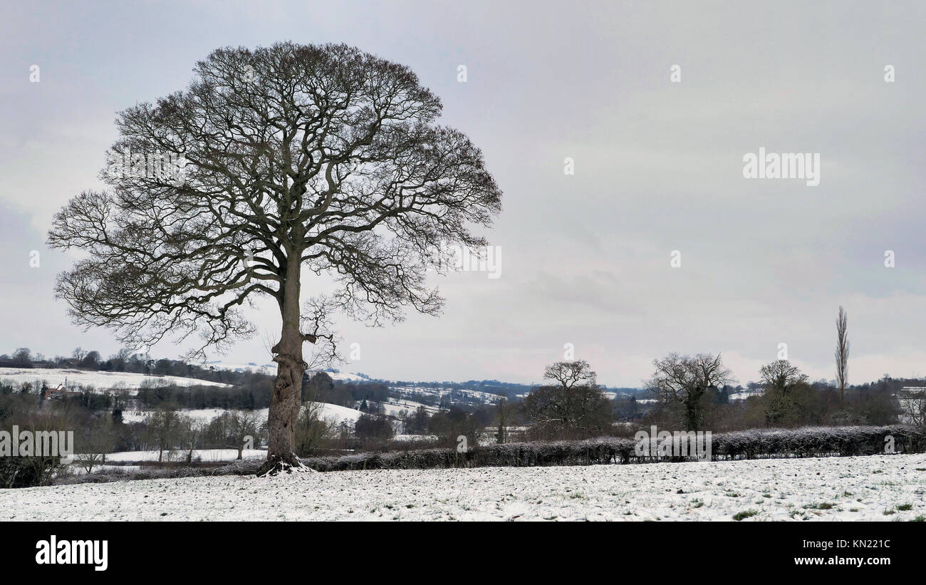 UK Wetter: Schnee Szenen rund um die Marktgemeinde Ashbourne, Derbyshire im Peak District National Park Credit: Doug Blane/Alamy leben Nachrichten Stockfoto