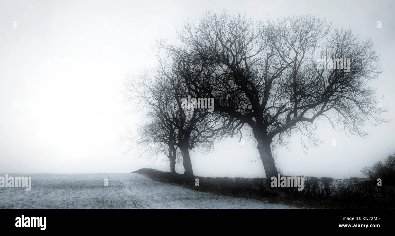 UK Wetter: Schnee Szenen rund um die Marktgemeinde Ashbourne, Derbyshire im Peak District National Park Credit: Doug Blane/Alamy leben Nachrichten Stockfoto