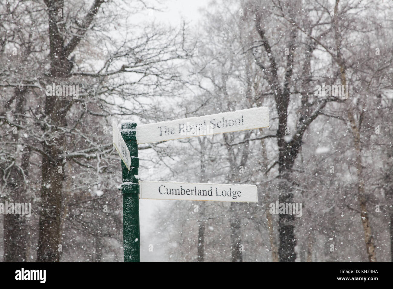 Windsor, Großbritannien. 10. Dezember, 2017. Eine verschneite Zeichen zeigt an, daß die königliche Schule und Cumberland Lodge im Windsor Great Park. Credit: Mark Kerrison/Alamy leben Nachrichten Stockfoto