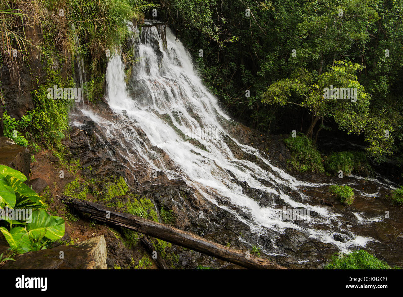 Ho'Opi' ich fällt auf Kaua'i, Hawai'i Stockfoto