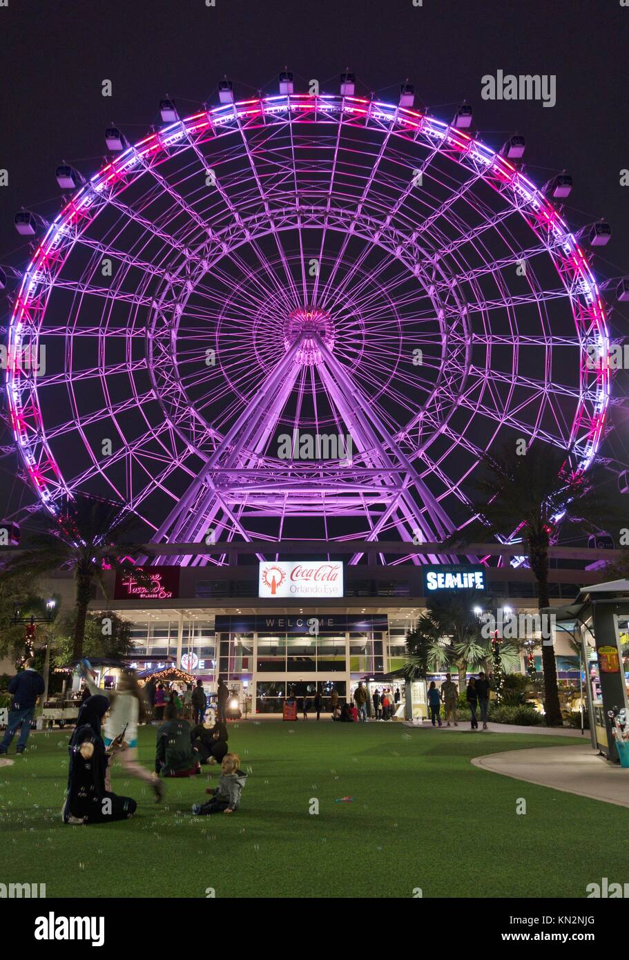 Das Orlando Auge, ein Riesenrad, abends beleuchtet, in Orlando, Florida, USA. Stockfoto