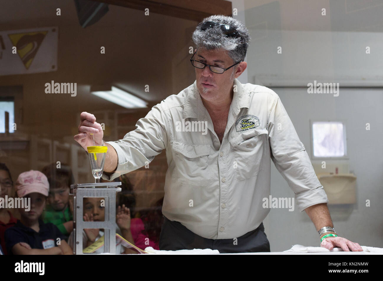 Herpetologe Carl Barden, sammeln Schlangengift, das gerade in ein Glas extrahiert wurde, bei den Reptilien Discovery Center, in Deland, Florida, USA. Stockfoto