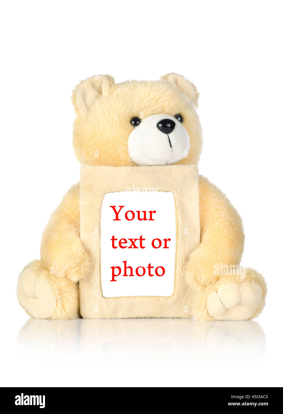 Teddy Bear mit Bilderrahmen auf weißem Hintergrund Stockfotografie - Alamy