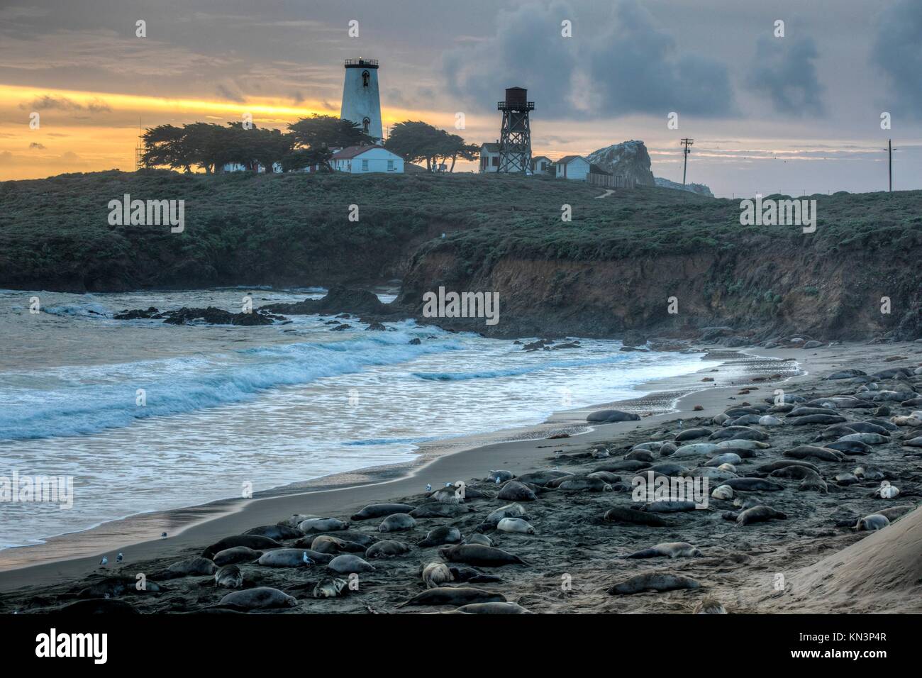 Die Sonne über dem Piedras Blancas licht Station und die felsige Küste Küste von point Piedras Blancas im California Coastal National Monument, 19. Januar 2017 in San Simeon, Kalifornien. (Foto von Bob wick über planetpix) Stockfoto