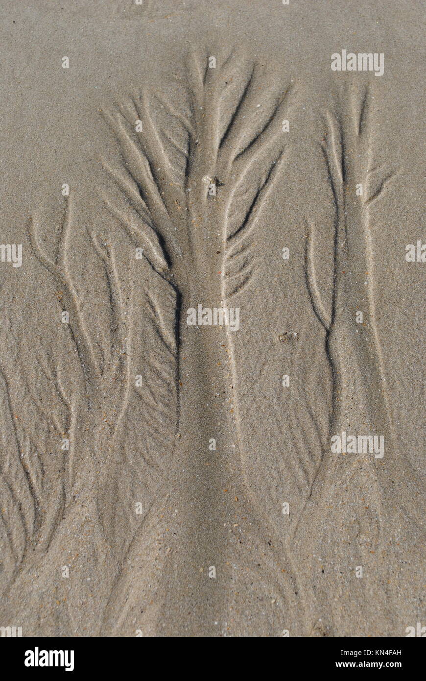 Sand Kunst, Zurückfliehend Tide Muster in den Sand Stockfoto