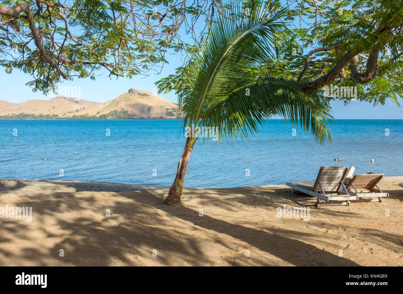 Palmen, Voli Voli, Fidschi Inseln, West Pazifik, Südsee Stockfoto