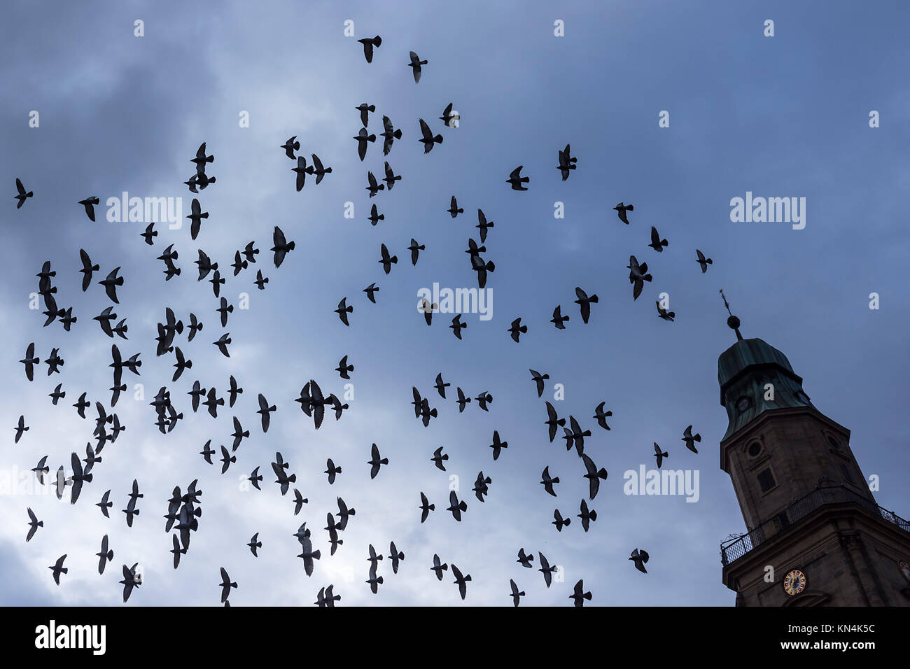 Silhouetten der fliegenden Stadt Tauben (Columbidae) bei regen Himmel, rechten Turm der Hugonottenkirche, Erlangen, Mittelfranken Stockfoto