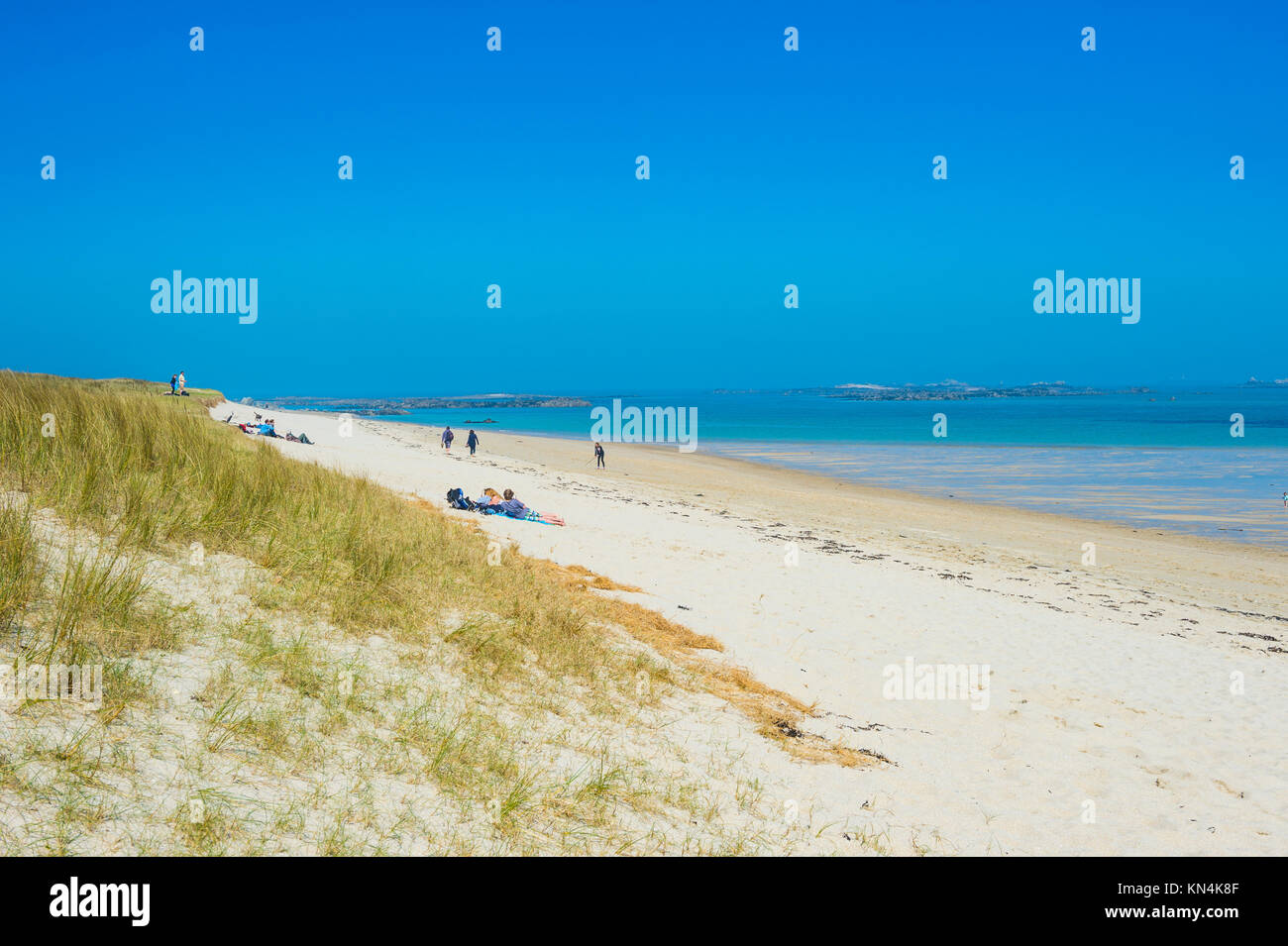 Blicken Sie über Shell Beach, Herm, Guernsey, Channel Islands, Großbritannien Stockfoto