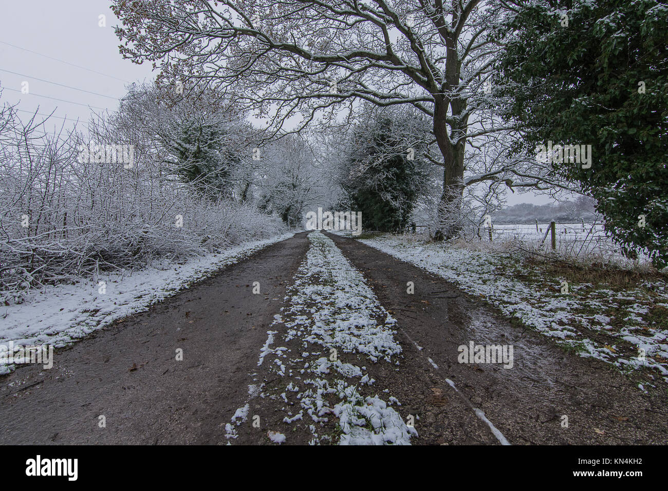 Wirral Country Park - ein Winter Szene Stockfoto