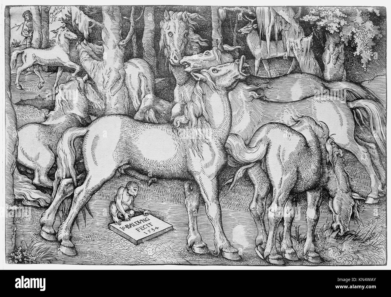 Ein Holzschnitt von Hans Baldung aus dem Jahr 1534 im Metropolitan Museum of Art, der eine Gruppe von sieben Pferden zeigt und historische deutsche Drucktechniken und Komposition zeigt. Stockfoto