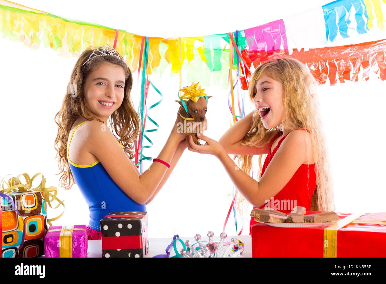 Girl Friends Party mit Welpen Chihuahua vorhanden Hund in Geburtstag aufgeregt. Stockfoto