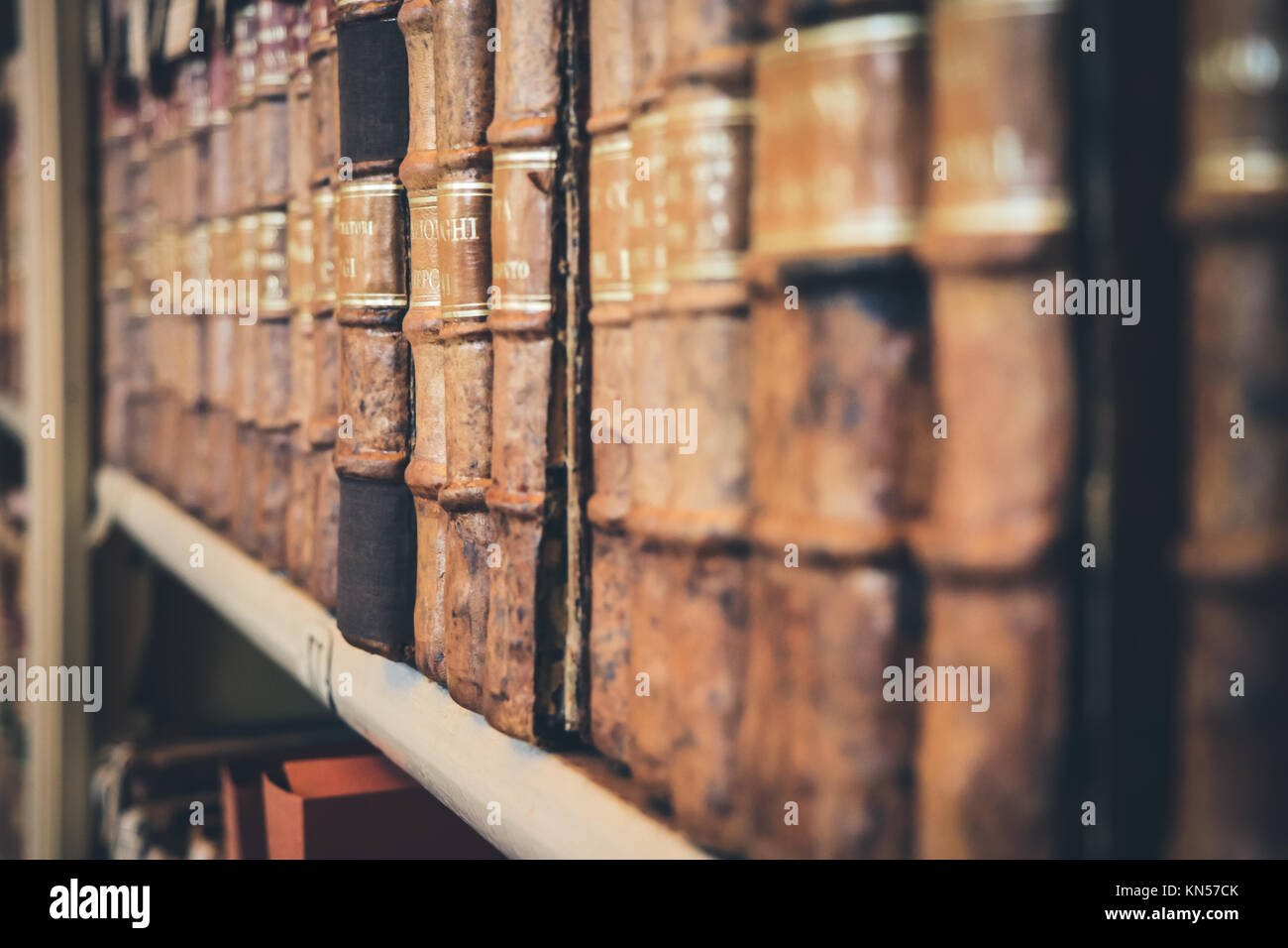 Alte Bücher in den Regalen einer Bibliothek. Stockfoto