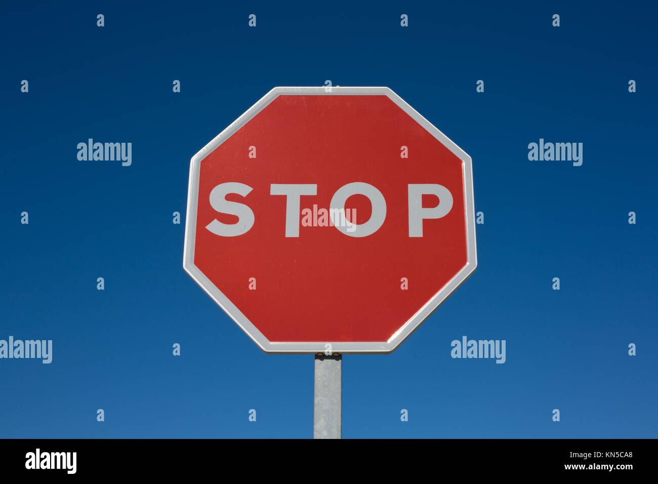 Stop Schild über blauen Himmel isoliert. Stockfoto