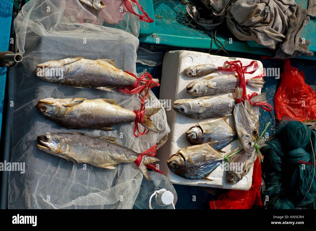Frische Fische zum Verkauf auf einen Markt, auf dem Fischmarkt Stall, Sai Kung Stadt, Hongkong. Stockfoto