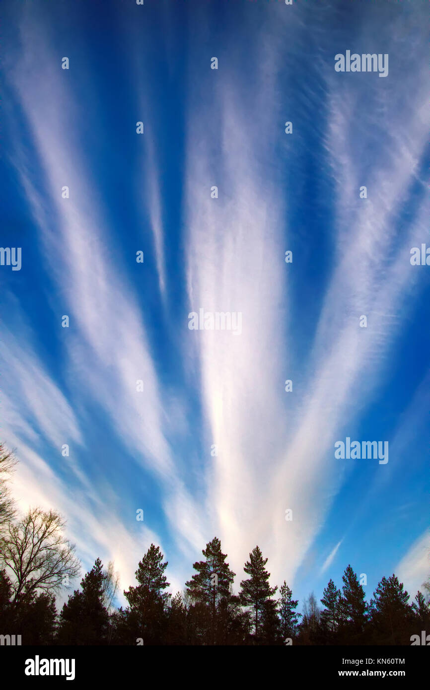 Flying Cloud. High-altitude Wolken wie Wolke der Explosion über Wald Stockfoto