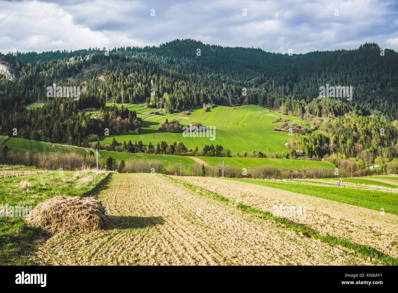 Poland spring -Fotos und -Bildmaterial in hoher Auflösung – Alamy