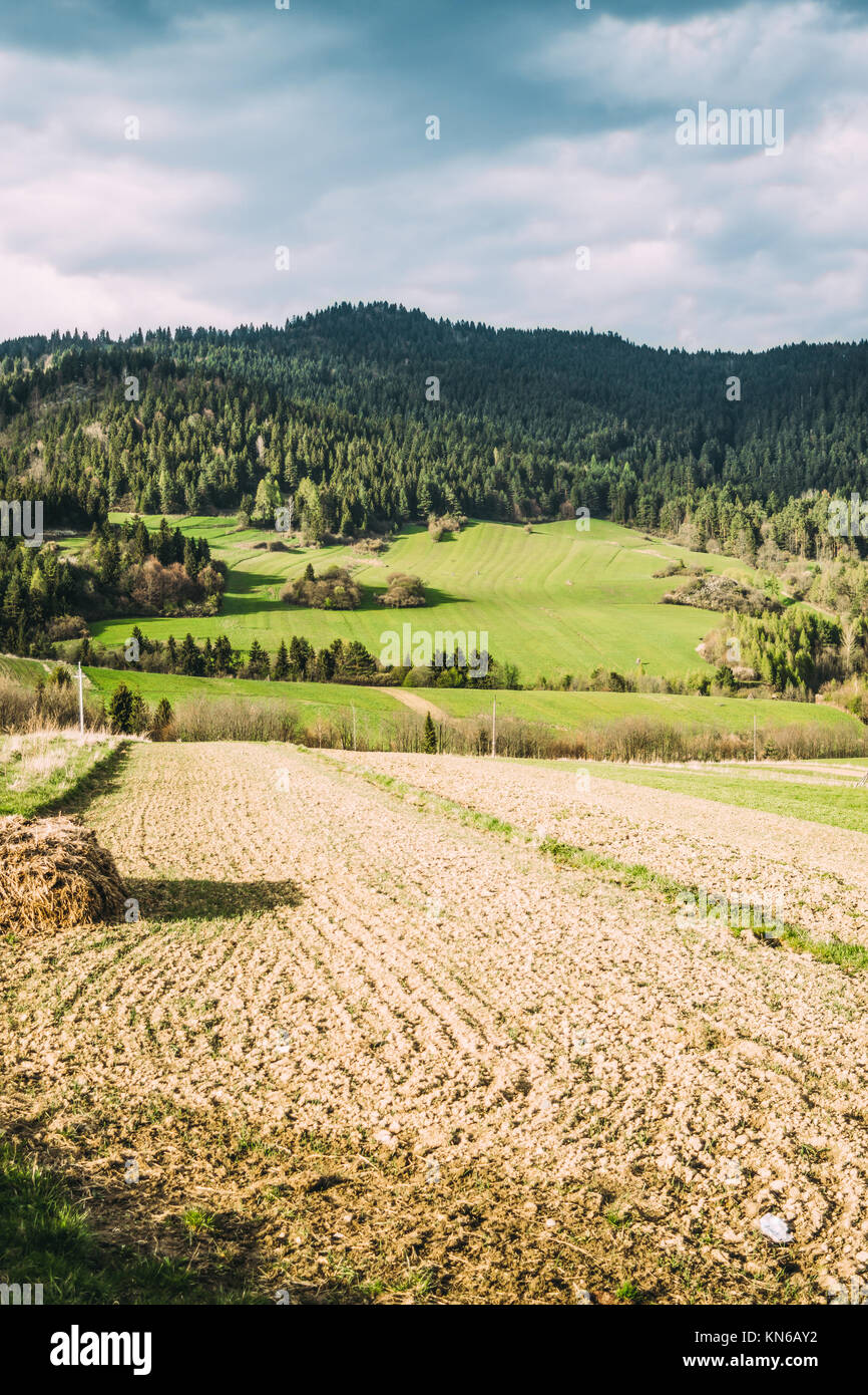 Landschaft im Pieniny Region in Polen mit grünen Hügeln, landwirtschaftlichen Bereich im Sonnenlicht Stockfoto