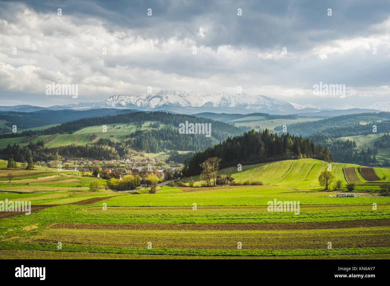 Grüne Hügel und Berge im Hintergrund in einer Landschaft in Polen Stockfoto