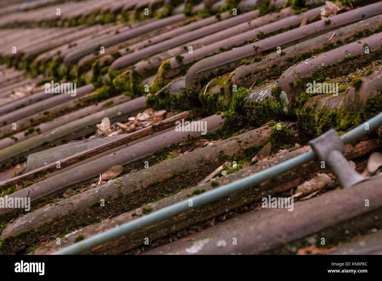 Ton Dachschindeln Europäischen deutschen Moss Schmutzige Alte Halle Top Closeup Stockfoto