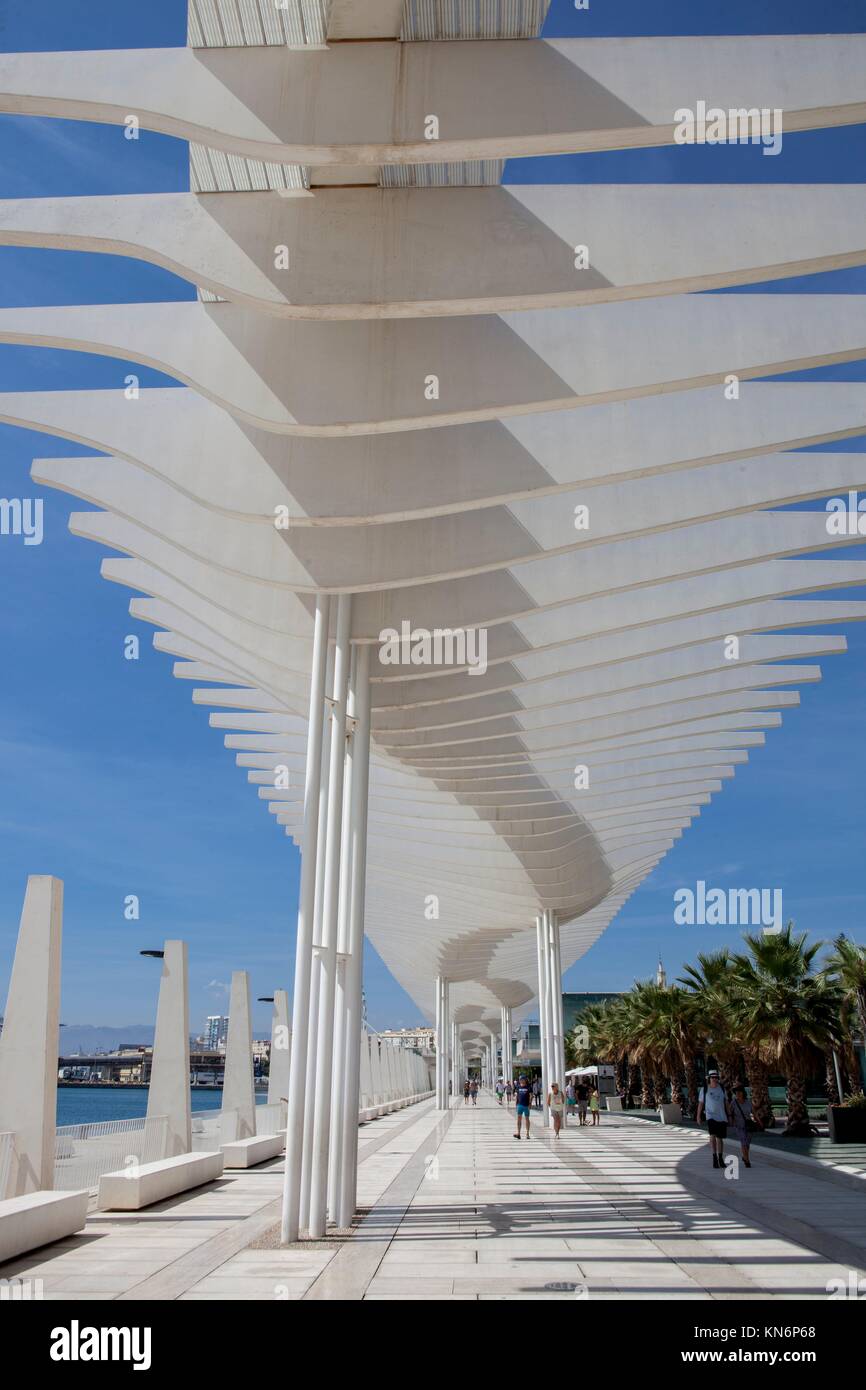 Malaga main Promenade ein sonniger Tag mit blauen Himmel. Stockfoto