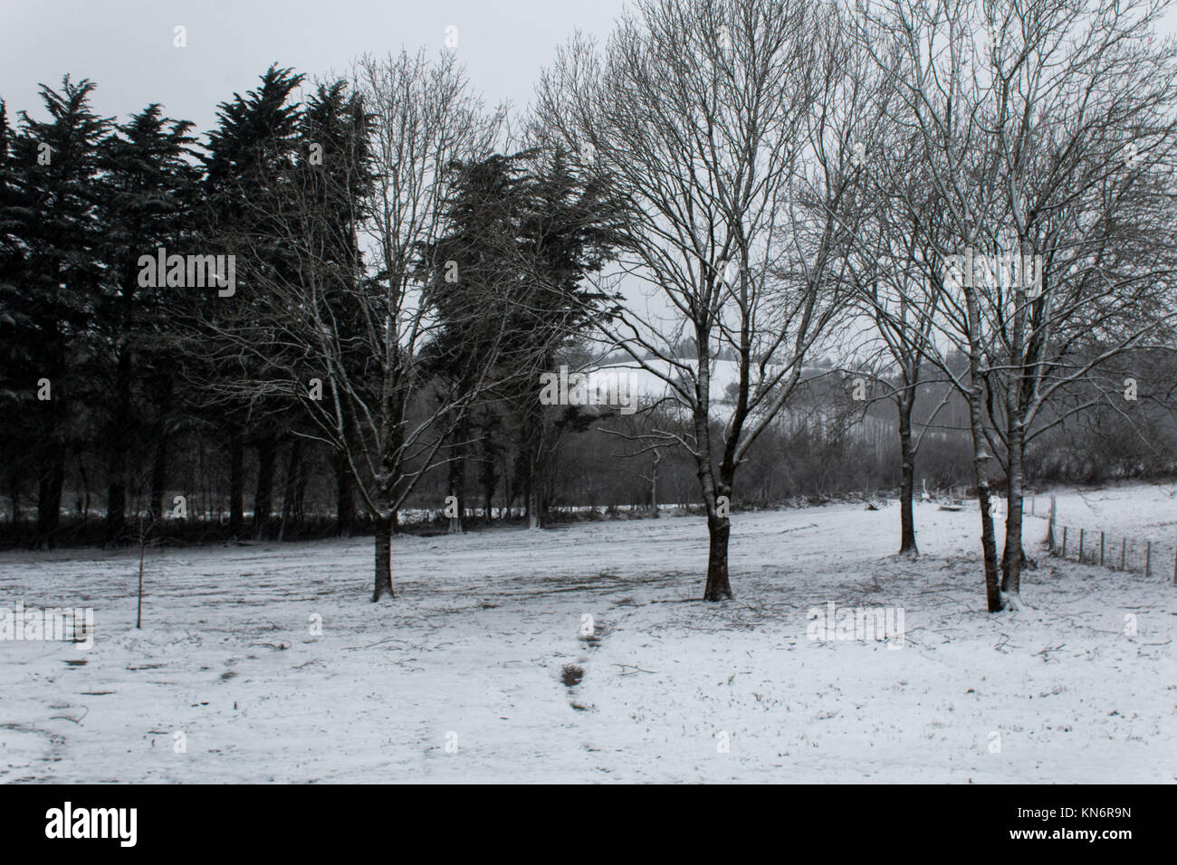 Snow Day. Comins Coch, Aberystwyth, Ceredigion, Wales, UK. 10. Dezember 2017 Stockfoto