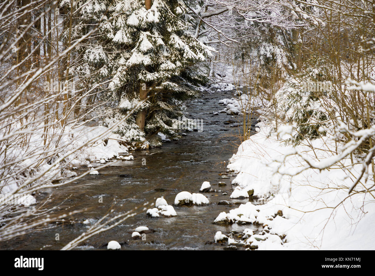Kleiner Fluss im Winter Wald im Berg Stockfoto
