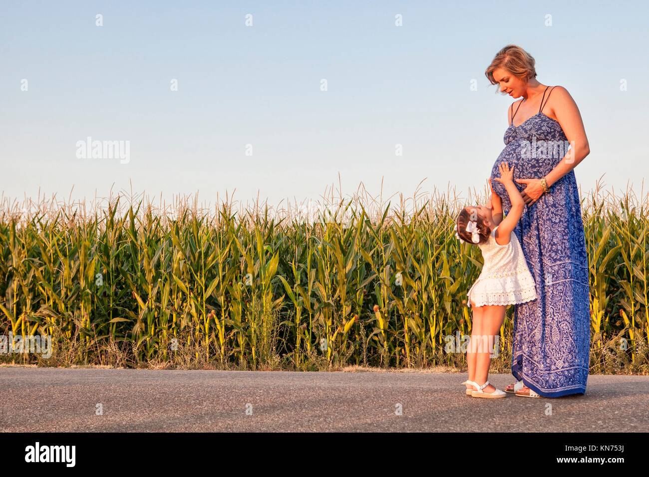 Schwangere Mutter und ihre kleine Tochter erwartet neugeborenen Bruder. Land straße zwischen Kornfeldern. Stockfoto