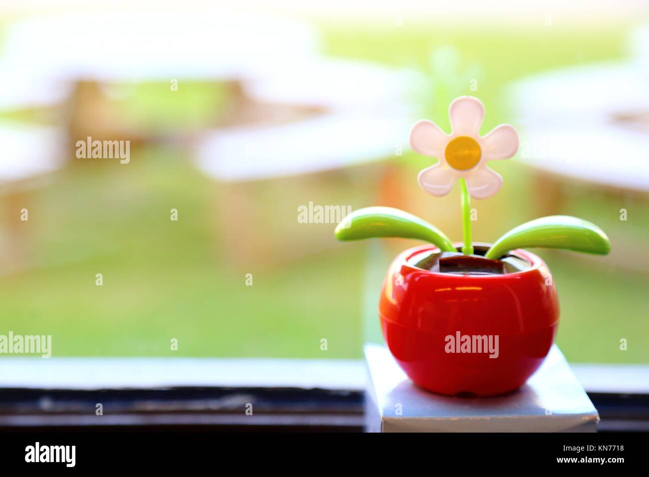 Plastic toy flower -Fotos und -Bildmaterial in hoher Auflösung – Alamy