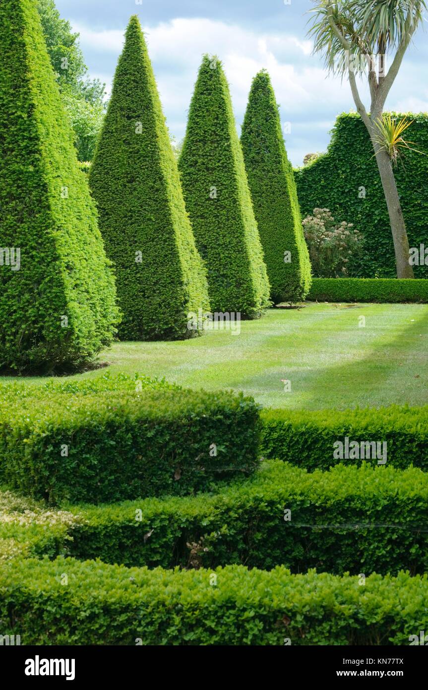 Englische Buchsbaum-Garten-Design, Norfolk, England. Stockfoto