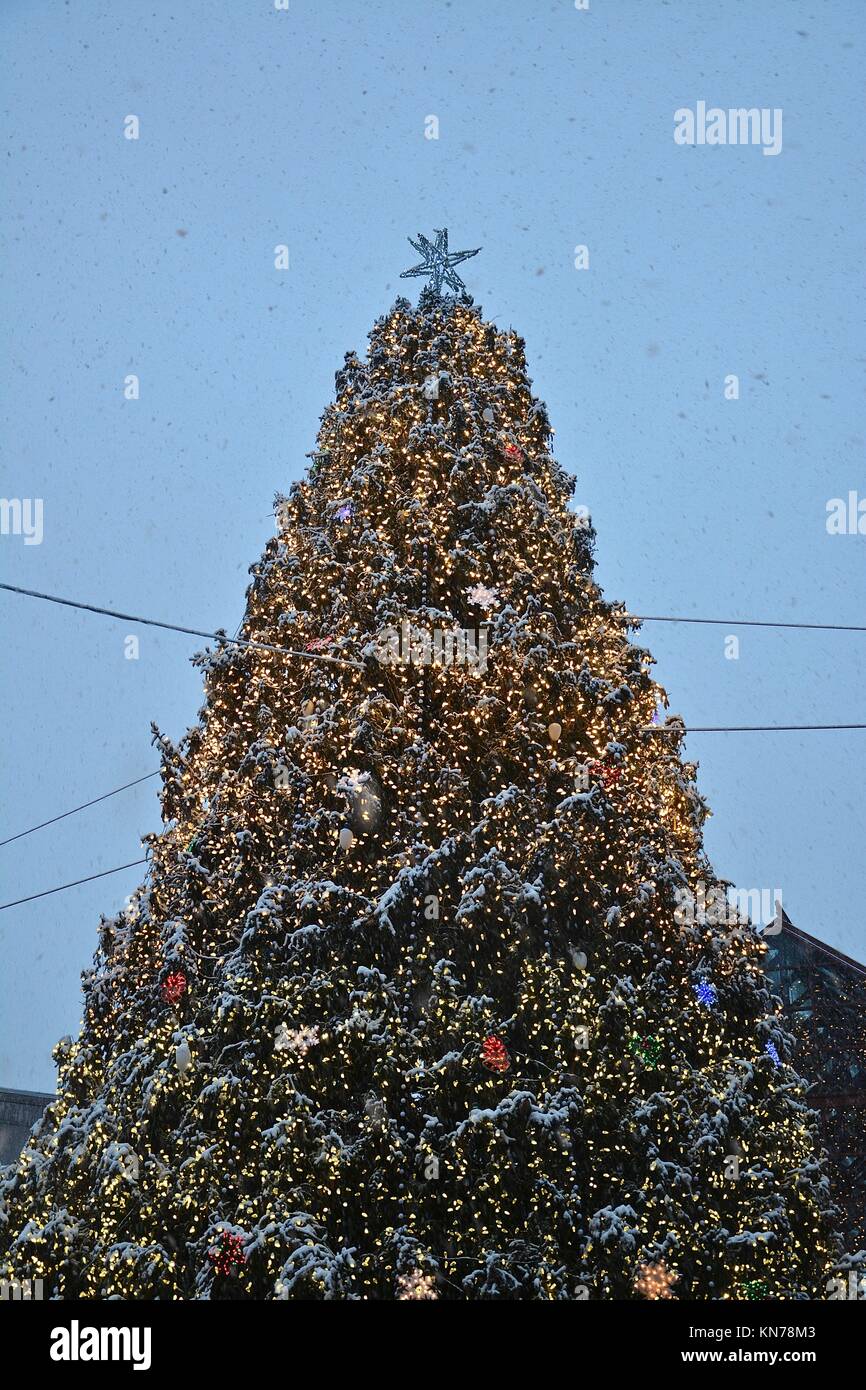 Die berühmten Faneuil Hall und Quincy Market Weihnachtsbaum in der Innenstadt von Boston in den ersten Schnee Sturm im Dezember gesehen. Boston, Massachusetts, USA Stockfoto