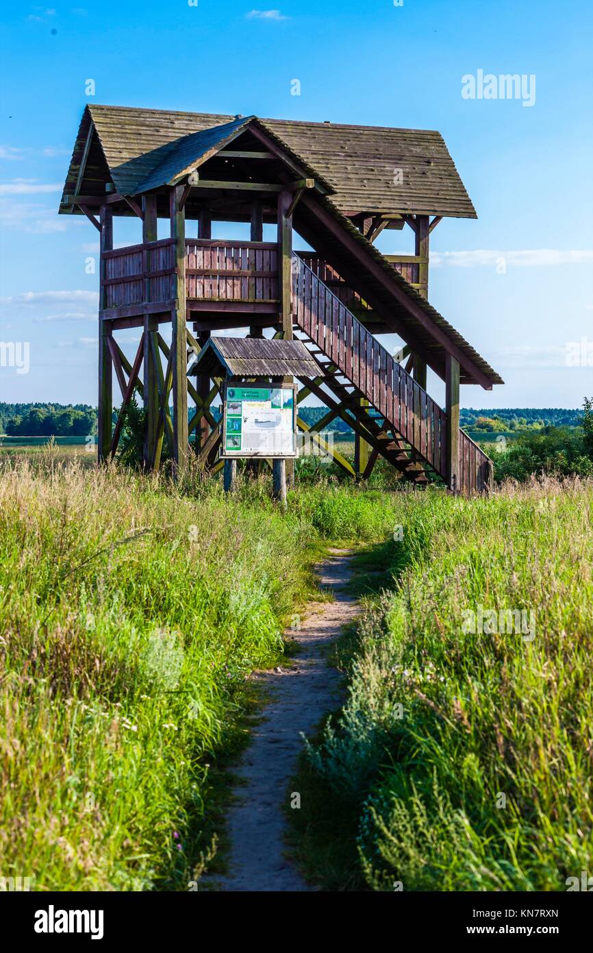 Biebrza Nationalpark, Woiwodschaft Podlachien, Polen Stockfotografie