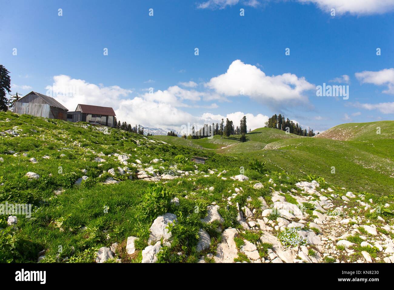 Grüne Hügel und Berge Dorf ländliche Haus, Abchasien, Kaukasus Stockfoto