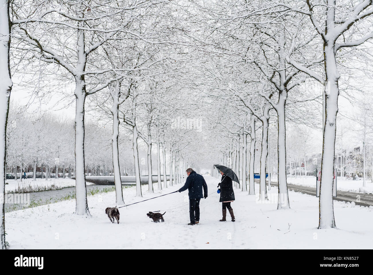 Utrecht, Niederlande. 10. Dezember, 2017. Ungewöhnliche Schneefälle. Mehrere Zentimeter Schnee fielen über - Utrecht, Niederlande. Credit: Anastasia GAASENBEEK/Alamy leben Nachrichten Stockfoto