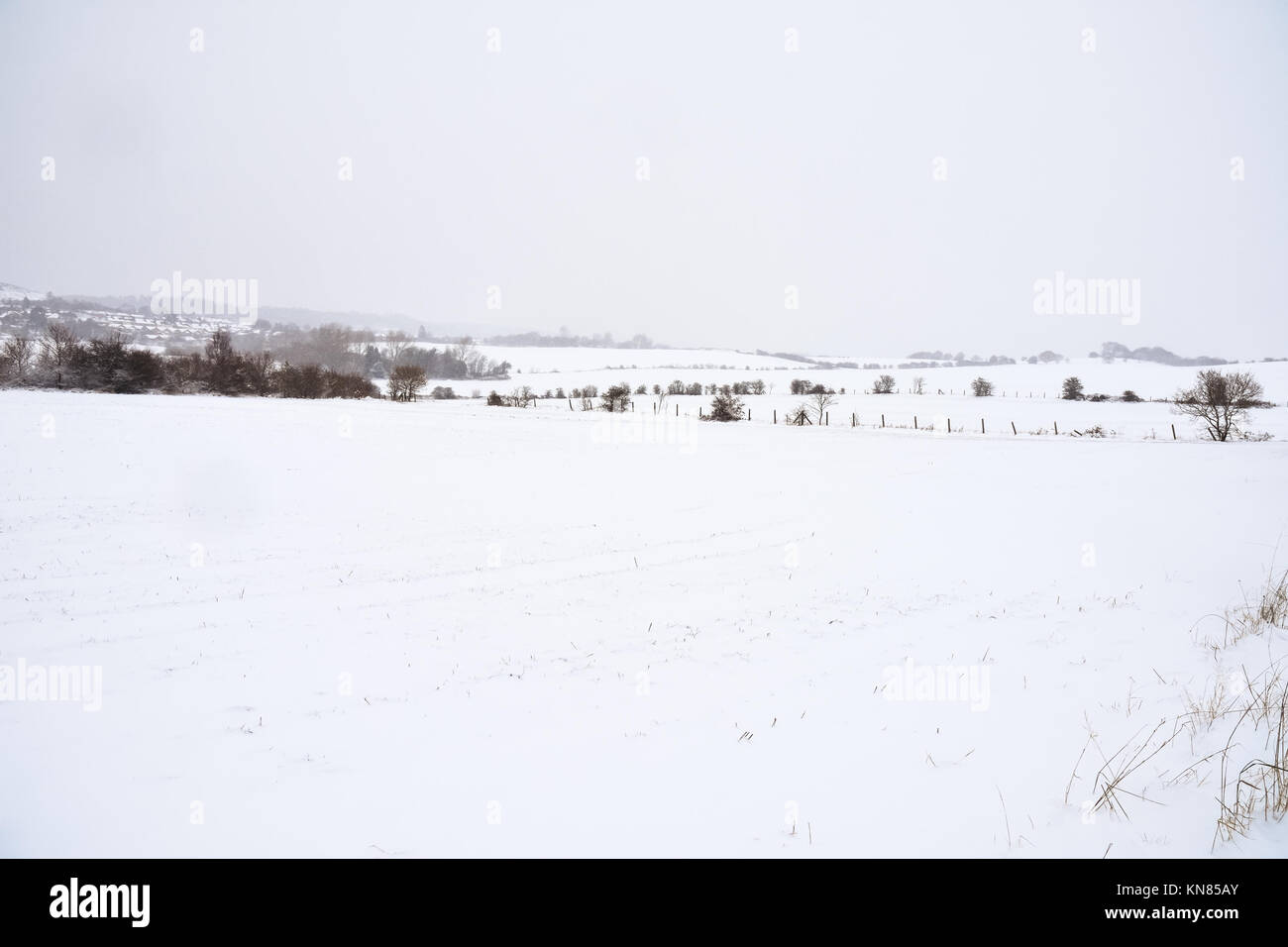 Cannock Chase, UK. 10. Dezember, 2017. Cannock Chase und die umliegenden Bereiche mit starker Schneefall in der gesamten Sonntag, den 10. Dezember 2017 behandelt. Schulen sind für Montag geschlossen, da die Temperaturen zu kämpfen über dem Gefrierpunkt zu erreichen sind, so dass kein Tauwetter in absehbarer Zeit zu erwarten ist. Credit: Daniel James Armishaw/Alamy leben Nachrichten Stockfoto
