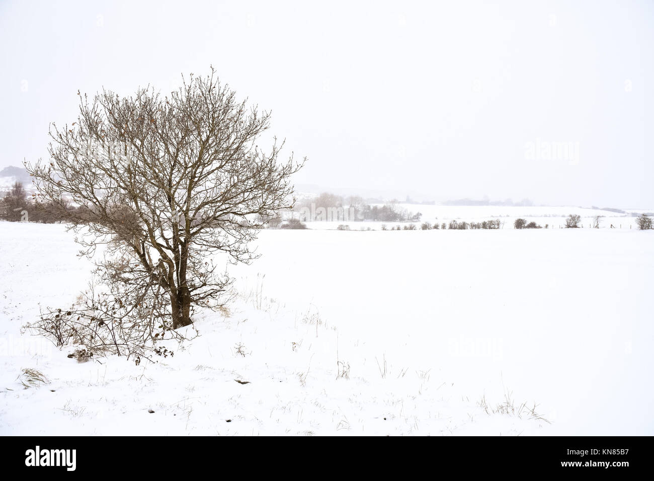 Cannock Chase, UK. 10. Dezember, 2017. Cannock Chase und die umliegenden Bereiche mit starker Schneefall in der gesamten Sonntag, den 10. Dezember 2017 behandelt. Schulen sind für Montag geschlossen, da die Temperaturen zu kämpfen über dem Gefrierpunkt zu erreichen sind, so dass kein Tauwetter in absehbarer Zeit zu erwarten ist. Credit: Daniel James Armishaw/Alamy leben Nachrichten Stockfoto