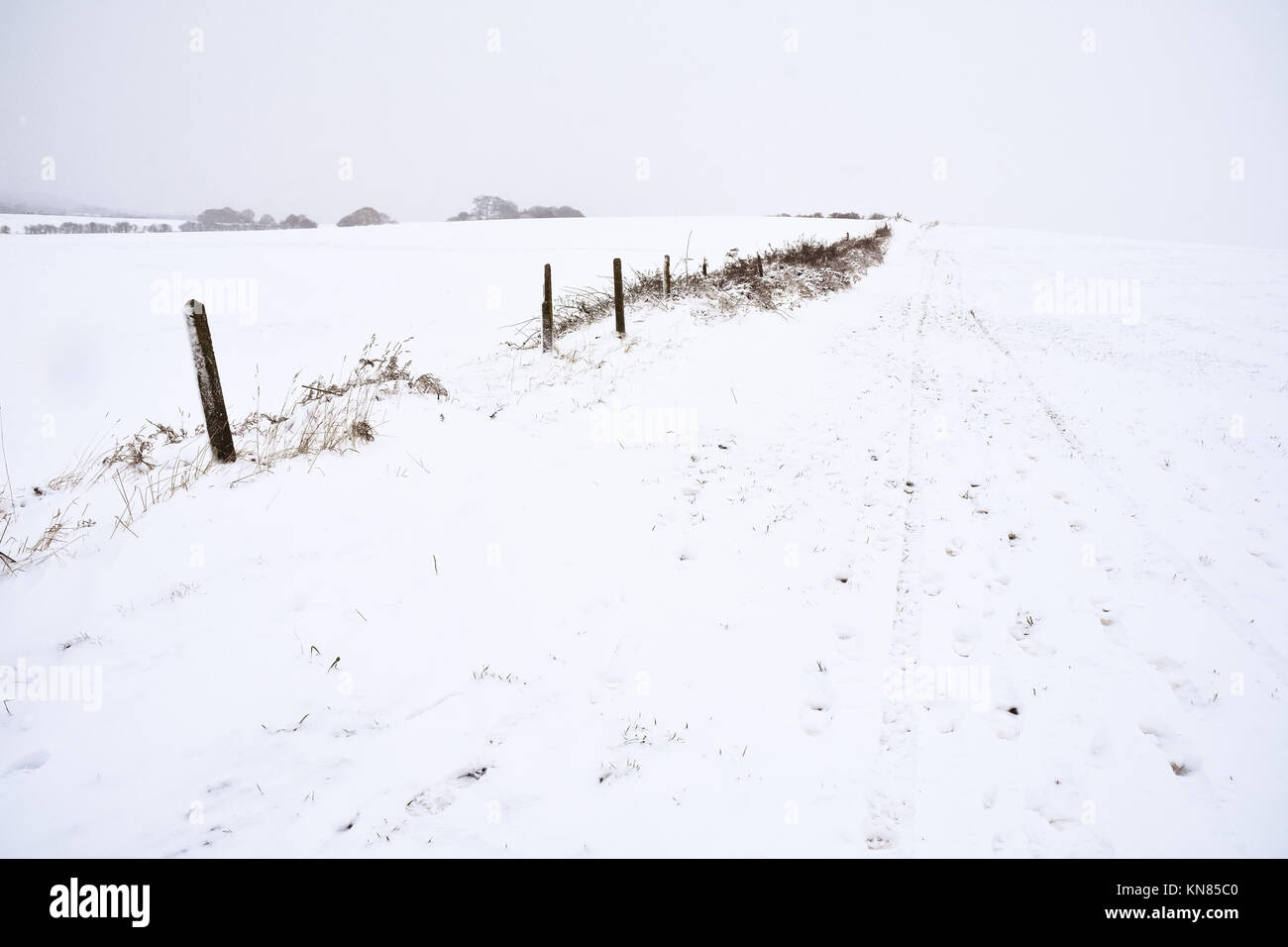 Cannock Chase, UK. 10. Dezember, 2017. Cannock Chase und die umliegenden Bereiche mit starker Schneefall in der gesamten Sonntag, den 10. Dezember 2017 behandelt. Schulen sind für Montag geschlossen, da die Temperaturen zu kämpfen über dem Gefrierpunkt zu erreichen sind, so dass kein Tauwetter in absehbarer Zeit zu erwarten ist. Credit: Daniel James Armishaw/Alamy leben Nachrichten Stockfoto