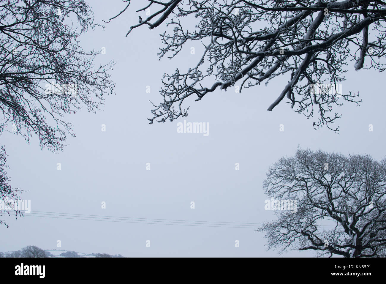 West Wales, UK. Land fegte mit prognostizierten Schnee, wodurch eine Reihe von Schulen in ländlichen Gebieten zu schließen. Harriet Baggley: Dezember 2017 Stockfoto