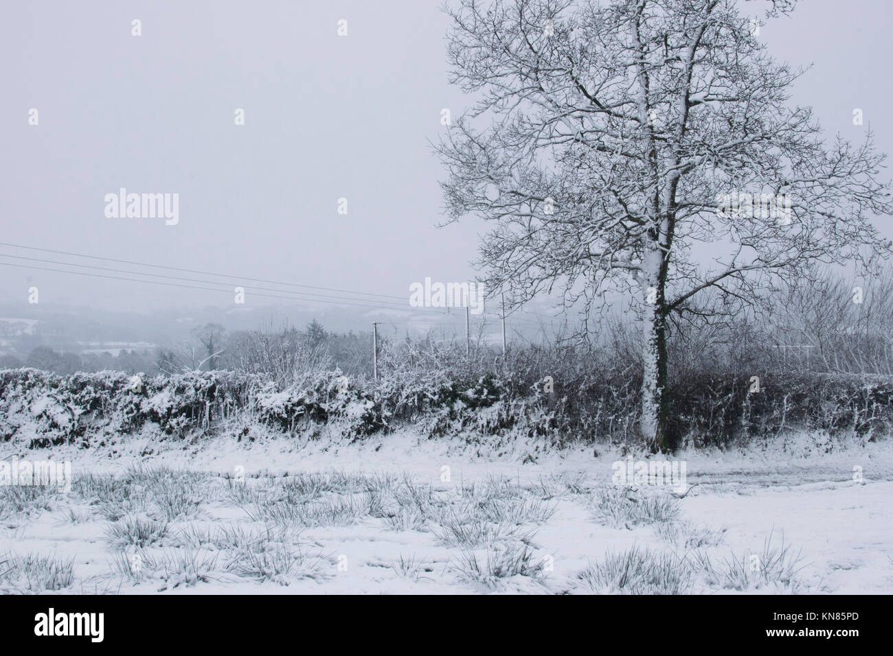 West Wales, UK. Land fegte mit prognostizierten Schnee, wodurch eine Reihe von Schulen in ländlichen Gebieten zu schließen. Harriet Baggley: Dezember 2017 Stockfoto